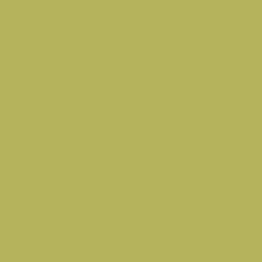 Color RGB 181,179,92 : Olive green