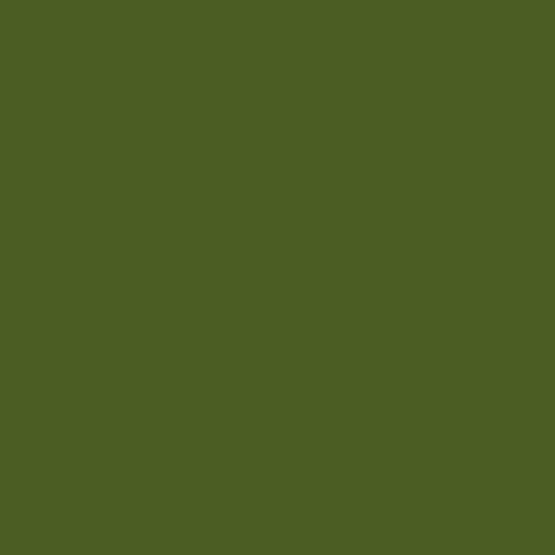 Color RGB 74,93,35 : Dark moss green