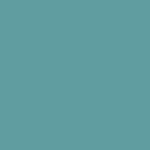 Color RGB 95,158,160 : Cadet blue